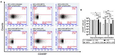 Frontiers | Methamphetamine Compromises The Adaptive B Cell-Mediated ...